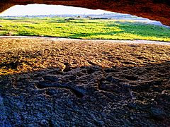Grabados rupestres en Los Barruecos (Malpartida de Cáceres)