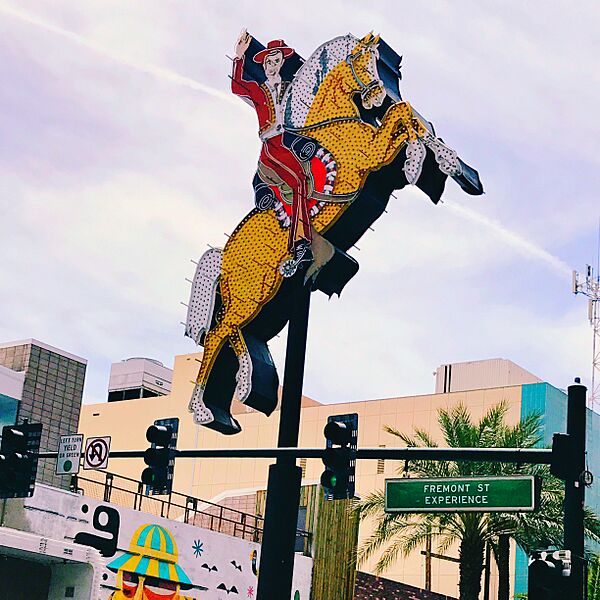 Hacienda Rider (34193386961)
