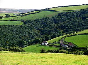 Homebush Farm, Exmoor - geograph.org.uk - 7192