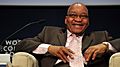 Jacob Zuma, 2009 World Economic Forum on Africa-10