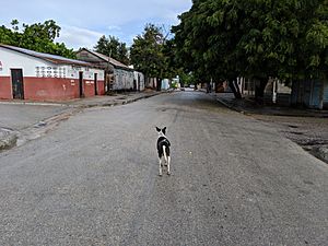 Las Salinas Street