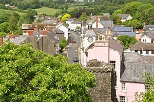 Laugharne from the castle (5842).jpg