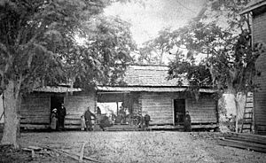 Log cabin home - Kerr City, Florida