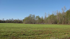 Looking toward the Marshall Site