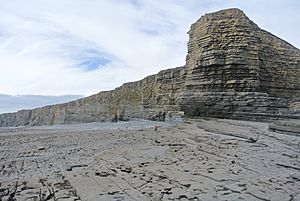 Lower Lias Nash Point Glamorgan