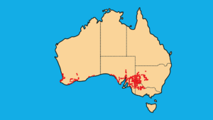 Mallee black-backed snake distribution.png