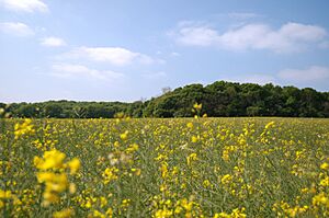 Manor Farm Country Park (486495766)