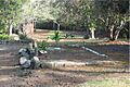 Manuka grave site