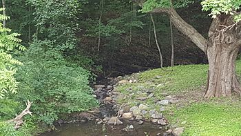 Neepaulakating Creek near headwaters Wantage Township.jpg