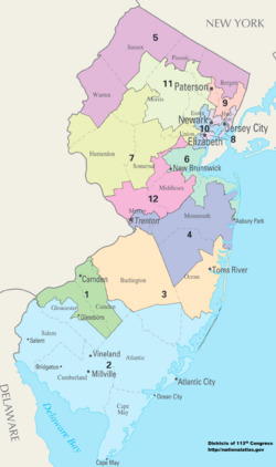 New Jersey Congressional Districts, 113th Congress