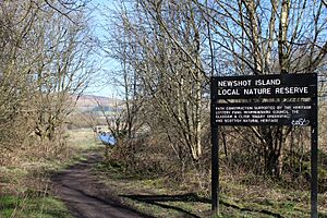 Newshot Island Local Nature Reserve, Erskine - geograph.org.uk - 3903527