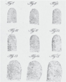 Nine fingerprint patterns Purkyne