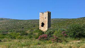 Oinoi Frankish Tower - Near Marathon, May 2014 - panoramio