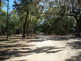 Ormond Beach FL Tomoka SP road02.jpg