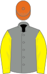 Grey, lemon sleeves, orange cap