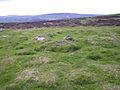 Prehistoric hut circles on the flank of Mynydd Melyn - geograph.org.uk - 199943.jpg