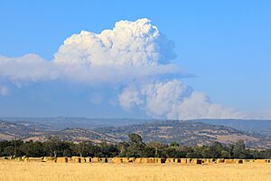 Pyrocumulus cloud produced by the Dixie Fire on July 22-5865
