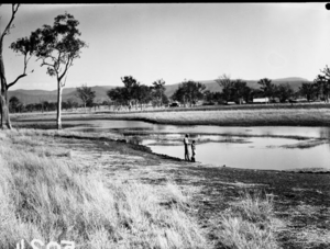 Queensland State Archives 1704 Waterhole fed by spring Rosevale October 1954