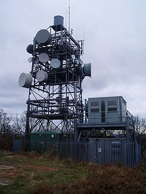 Radio Mast at Bardon Hill - geograph.org.uk - 304946