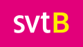 SVT Barnkanalen logo 2008–2012