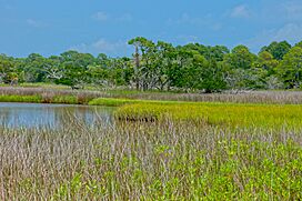 Salt Marsh view, Fripp Island SC - panoramio