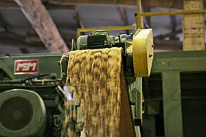 Sawdust waste from mill