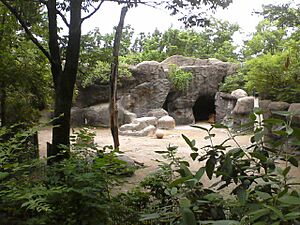 Sichuan takin cin zoo