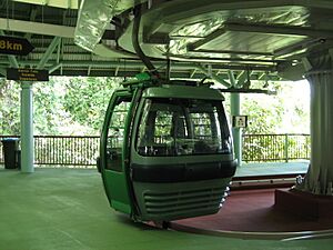 Skyrail Rainforest Cableway Gondola