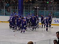 Slovakia men's ice hockey team in 2002
