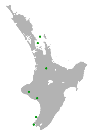 Stitchbird distribution map.svg