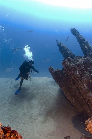 Surveying Sunken Wrecks from the Battle of the Atlantic