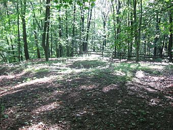 Tarlton Cross Mound from the west.jpg