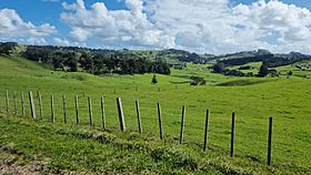 Farmland near Taupaki