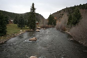 Taylor River (Colorado).JPG