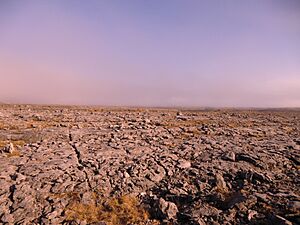The Burren in the evening sun