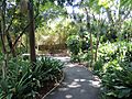 The Gardens at Bishops See (Bishop's House, Perth) 05 (E37@OpenHousePerth2014)