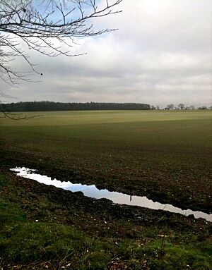 The site of the Battle of North Walsham