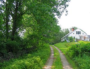 Trail Wood home and lane