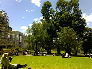 Treasury gardens 2