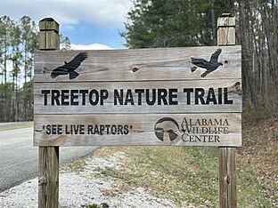 Treetop Nature Trail