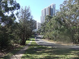View from Blenheim Road of apartment towers on the former Channel 10 site