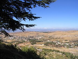 View from the Barouk Forest