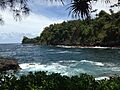 View of Onomea Bay from the Tropical Botanical Garden