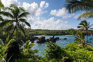 Waianapanapa State Park Maui Hawaii Road to Hana (45690767052)