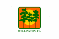 Wellington, FL Flag