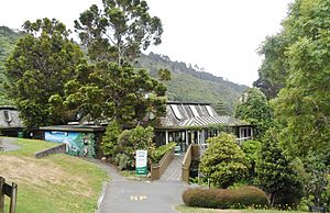 Wellington Botanic Garden Treehouse 2015