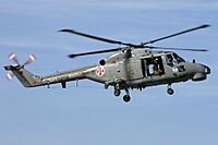 Westland Lynx Mk.95, Portugal - Navy JP6237627.jpg