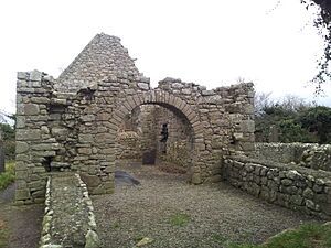 05. Tully Burial Ground & Lehaunstown High Crosses