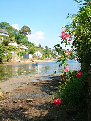 A summer morning in Helford - geograph.org.uk - 384012
