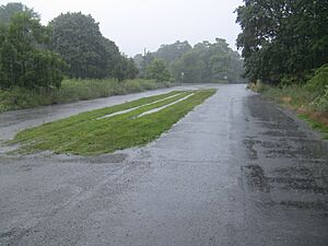 Abandoned avenue in Centralia, Pennsylvania